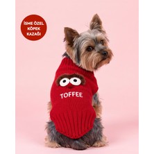 Lusi Doog Isme Özel Köpek Kazağı Örgü Köpek Kazak Isimli Köpek Kıyafeti Amigurumi Detaylı (Nakışlı)
