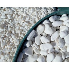 Tr Dolomit Taş 50 kg 4-6 cm Beyaz Dolomit Bahçe Taşı Çakıl Taşı Saksı Taşı Akvaryum Terar