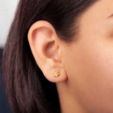 Bersel Butik Gümüş Gold Yıldız Çivili Kadın Küpe
