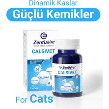 ZentiaVet Kedi Kemik ve Eklem Gelişim Takviyesi Kedi Kalsiyum Magnezyum D3 Vitamini Destekleyici 60 Tablet