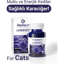 ZentiaVet Liver Kedi Karaciğer Sağlığı Kedi Karaciğer Fonksiyonunu Destekleyici Kedi Karaciğer Temizleyici