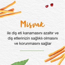 Himalaya Since 1930 Nane Ferahlığı Bitkisel Diş Macunu, Florürsüz, Parabensiz, Vejeteryan, Ferah Nefes, 75 ml (3 Paketi)