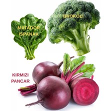 Sağlam Tarım Tohum Seti (Brokoli, Kırmızı Pancar, Ispanak)