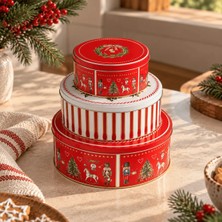 Sarkap Home Nutcracker 3’lü Metal Saklama Kutusu Seti 240×100 mm 4,5 L, 190×80 mm 2,3 L, 133×60 mm 0,8 L.