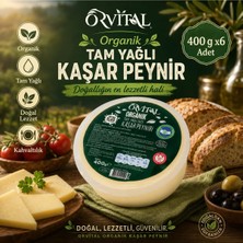 Orvital Tam Yağlı Kaşar (400 G) X6 Adet