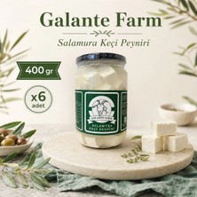 Galante Farm Salamura Keçi Peyniri 400 gr X6 Adet