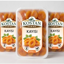 Kuru Kayısı