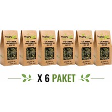 Happylife Kabak Çekirdek Içi (200 G) X6 Paket