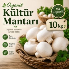Organik Kültür Mantarı 10 kg