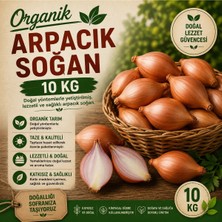 Organik Arpacık Soğan 10 kg