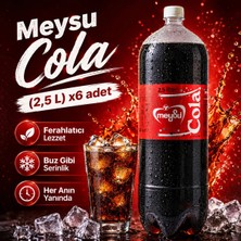 Meysu Cola (2,5 L) X6 Adet