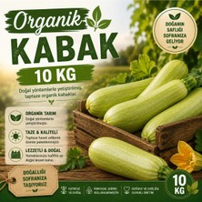 Organik Kabak 10 kg
