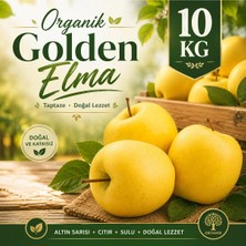 Organik Golden Elma 10 kg
