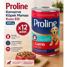 Proline Konserve Köpek Maması Kuzu Etli 400 G X12 Adet