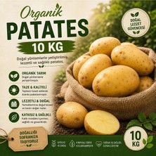 Organik Patates 10 kg