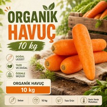 Organik Havuç 10 kg