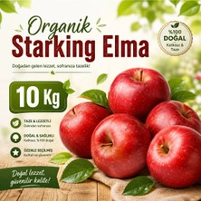 Organik Starking Elma 10 kg