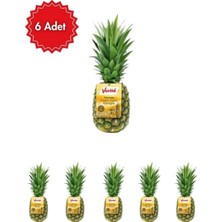 Verita Ananas 6'lı Avantaj Paketi (Taze & Sulu Tropikal Lezzet)