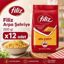 Filiz Klasik Arpa Şehriye 500 G X12 Adet