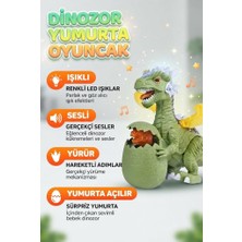 Farbu Oyuncak Işıklı Sesli Yürüyen Hareketli Kanatlı Sürpriz Yumurtalı Elektronik Dinazor Oyuncak 30 cm