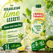 Dimes Cool Lime Özü (1 L) X12 Adet