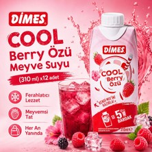 Dimes Cool Berry Özü (310 Ml) X12 Adet