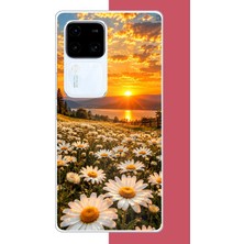 Aksesuarist Vivo V30 Uyumlu Papatya Tarlasında Gün Batımı Baskılı Silikon Kılıf