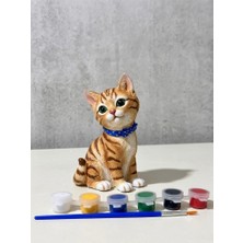 RK Actıvıty Sevimli Kedi Boyama Seti