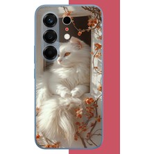 Aksesuarist Tecno Camon 50 Pro Uyumlu Penceredeki Beyaz Kedi Baskılı Silikon Kılıf