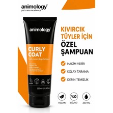 Animology Curly Coat Kıvırcık Kabarık Tüylü Kedi Köpek Şampuanı 250 mL