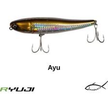 Ryuji Splash 10CM 17GR Su Üstü Maket Yem
