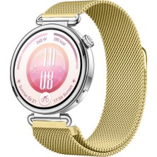 Sneezy Huawei Watch Gt7 41MM Uyumlu Manyetik Milanese Loop Metal Kordon