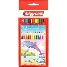 Bigpoint 12'li Suluboya Kalemi