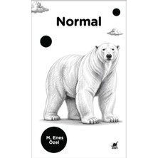 Ayrıntı Yayınları Normal