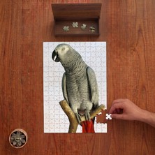 Punto Dizayn Papağan - Kuş - Amazon - Hayvan  Tasarımı 240 Parça Ahşap Puzzle Ahşap Kutuda PD00093