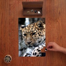 Punto Dizayn Leopar - Büyük Kedi  Tasarımı 240 Parça Ahşap Puzzle Ahşap Kutuda PD00031