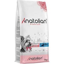 Bin1çeşit Premium Somonlu Mini Irk Yetişkin Köpek Maması 2 kg