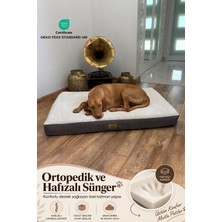 Pet Dreams Prego Su Geçirmez Sertifikalı Kedi/köpek Yatağı, Peluş Kumaş Çıkartılabilir, Yıkanabilir, Kaymaz Altlık