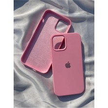 Teyin Aksesuar iphone 13 / 14 Uyumlu Lansman Slikon Telefon Kılıfı