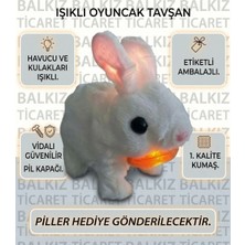 Toys Kulakları ve Havucu Işıklı Zıplayan Sesli Tavşan