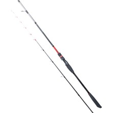Ryuji Spectra Sp 198CM 70-300GR 2 Parça Bot Kamışı