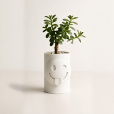 Brf Store Vialivaavm Emoji Planter – 3D Baskı Göz Kırpan Yüzlü Sukulent Saksısı-Beyaz