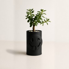 Brf Store Vialivaavm Emoji Planter – 3D Baskı Göz Kırpan Yüzlü Sukulent Saksısı-Siyah