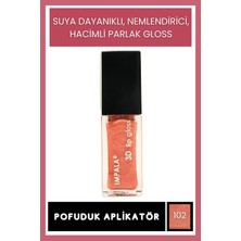Str Store 3D Lip Gloss Dudak Parlatıcı NO:102