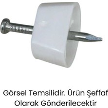 Elovias Euro Çivili Raf Pimi Şeffaf (350-10-88)