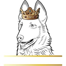 Ertürk Store Belgian Laekenois Köpek Kayıt ve Anı Kitabı, Fotoğraf Albümü