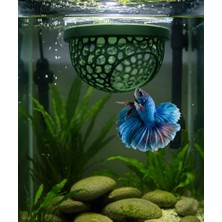 Ertürk Store Modern Betta Balığı Dinlenme Alanı ve Üretim Yuvası – Akvaryum Aparatı, Suckup ile Tankta Asılı, Delikli Tasarım, Balık Barınağı, Modern Görünüm, Akvaryum Aksesuarı