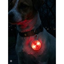 Köpekler Için Gece Görünür Tasma, Suya Dayanıklı