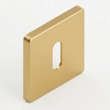 Elovias System Gold Branche Renk Oda Tipi Rozet (RO21N GB)
