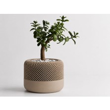 Bin1çeşit 3D Baskı Modern File Desenli Dekoratif Saksı - Minimal Çiçek Saksısı, Ev ve Ofis Bitki Saksısı-Bej
